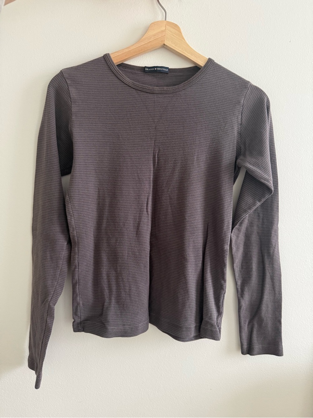 Brandy Melville Long Sleeve Cotton Crewneck Tee in Brown and Mauve Stripe